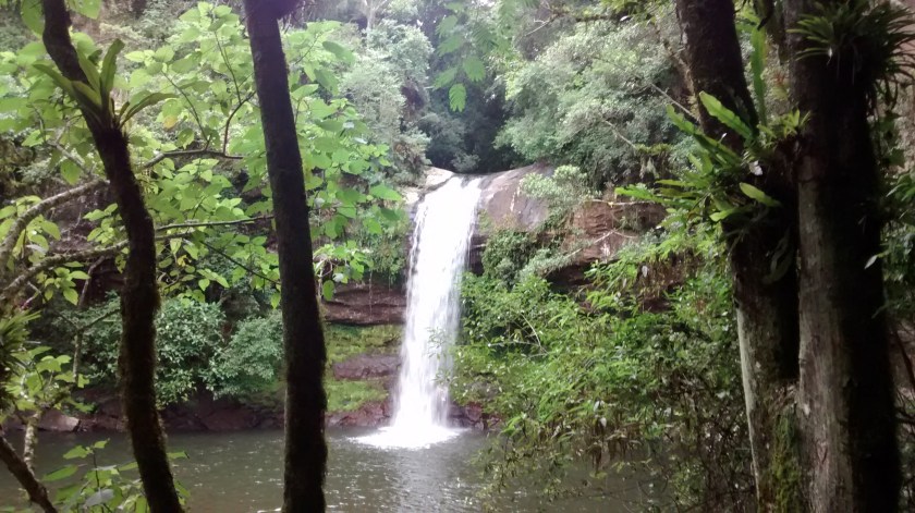 IMG_20150101_132601424