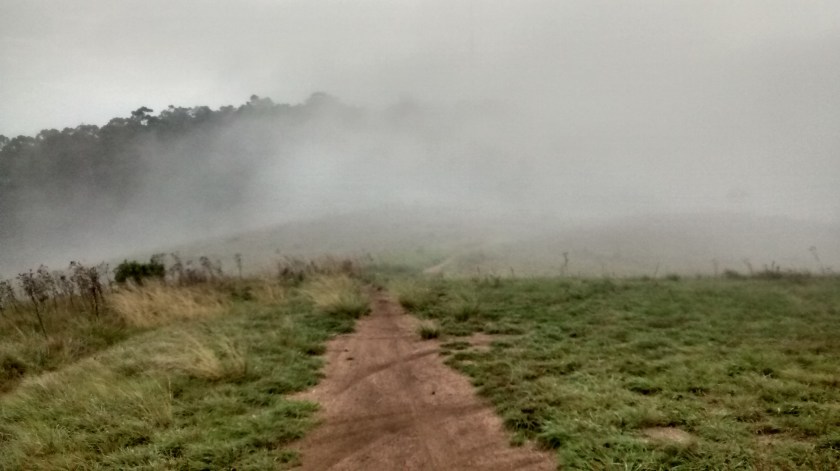 IMG_20150315_072428418_HDR