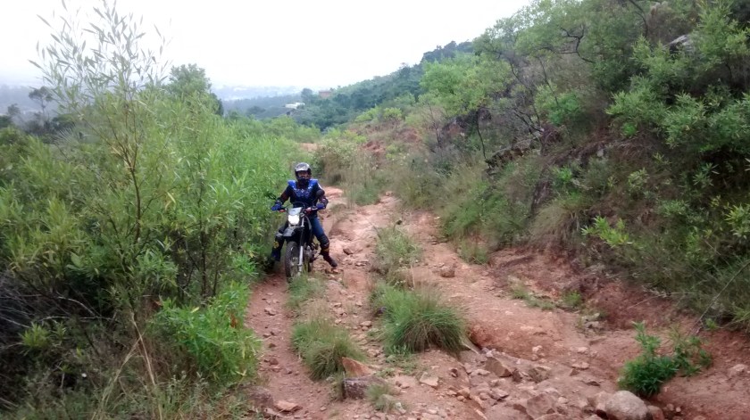 IMG_20150315_080543765