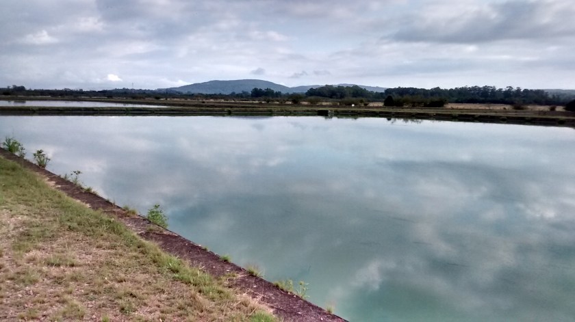 IMG_20150412_082202237_HDR