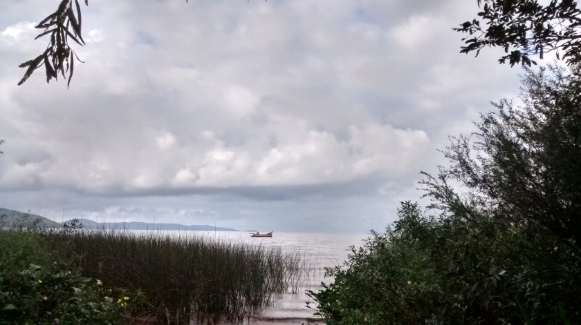 IMG_20150412_082826989_HDR